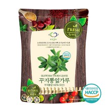 푸른들판 국내산 꾸지뽕 잎 분말 가루 100% 국산 꾸찌뽕 꾸찌뽕 구찌뽕 나무 잎 차 haccp 인증, 500g, 1개, -