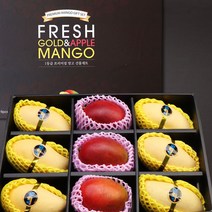 JM 태국망고 6과 애플망고 3과 혼합 선물세트 3kg, 상세페이지 참조