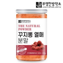 부영한방약초 국산 꾸지뽕열매 가루, 200g 1개, 1개
