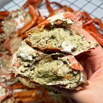 속초 주문진 제철 박달 홍게 붉은 대게 다리 85%이상 수율보장 산지직송, 자숙, 박달홍게 2kg(소/6~8마리)