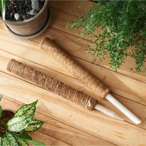 몬스테라 수태봉 수태 넝쿨 식물 지지대 코코넛봉, 50cm