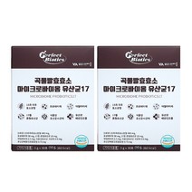 비타민마을 곡물발효효소 마이크로바이옴 유산균 퍼펙트바이오틱스 17 30포, 90g, 2개