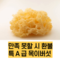 백목이버섯 은이버섯 백목이 흰목이 버섯 1KG, 1개
