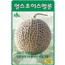 멜론 얼스초이스멜론 100립/과채류