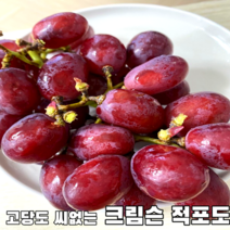 씨없는 고당도 포도 크림슨 적포도 1~4kg 크림슨포도 크림슨적포도 씨없는적포도 고당도포도 당도보장 당도선별 제철포도 제철과일 가정용 식당용 포도선물 선물용, 4kg