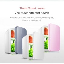 미니 화장품 냉장고 2023 냉장고 110V 소형 선물 자동차 냉동 뷰티 8L, Blue dual-use_미국