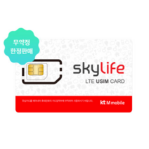 KT스카이라이프 후불 유심칩 카드 USIM 알뜰폰 요금제, 신규