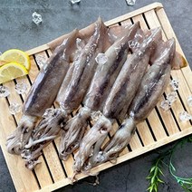 푸드앳홈 포항 구룡포 손질 통오징어 특 10미 (원양산), 손질오징어 2미x5팩