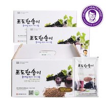[김재식헬스푸드] 포도한송이 포도씨포도즙 100ml 90팩(30팩 3박스), 상세 설명 참조