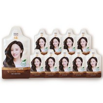 댕기머리 더 편한 샴푸형 염색 30g 5호 진한갈색, 10개