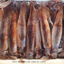 주문진 산지직송 달콤한 생물(급냉) 통 오징어6-10미(2.2 kg 내외), 6-10미 내외