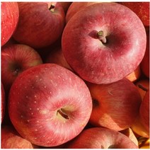 영양사과 일월산사과 10kg42-48과 대티골사과 외씨버선길사과, 상세페이지 참조, 상세페이지 참조