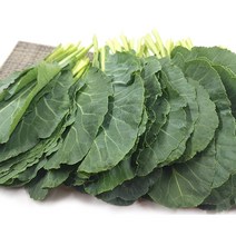 [특급] 싱싱한 쌈 케일 500g 1kg, 쌈케일1kg