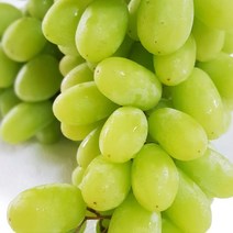 룰루네상점 씨없는 청포도 1kg 미국산 칠레산 새콤달콤 수입포도, 씨없는 청포도 4kg내외