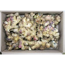 믿을수 있는 우리 농산물 흙생강 4Kg