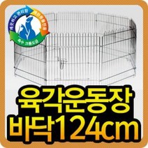 크롬 육각운동장 중 업체배송