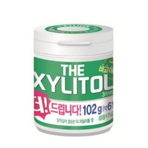 오리온 더자일리톨 츄잉껌, 10개, 102g