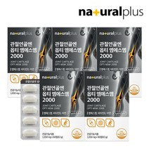 내츄럴플러스 관절연골엔 옵티 엠에스엠 2000 60정 5박스(5개월분), 상세 설명 참조, 단일옵션