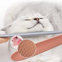 알로 그루밍 힐링 브러쉬 혓바닥 디자인 고양이 마사지 혀 골골 빗, 그레이