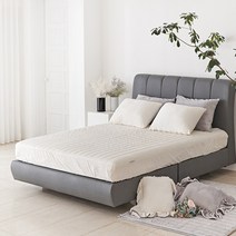 류금숙 겨울 극세사 모던 벨보아 누비매트리스커버 단품 (SS/Q/K/SK)