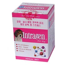 인트라젠 플러스 장영양제 200정, 2개, 면역력 강화