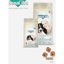 보나시보 품독 시니어& 다이어트 4kg 15kg 라지바이트+100g+10인치 대형껌, 4kg+100g