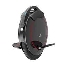 인모션 INMOTION V5 성인용 전기 외발 전동휠