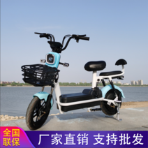 배달전기자전거 2인승 여성 엄마 등하원 자전거 전동자전거 전기자전거, 48v, 12A, Color Remarks Deluxe Editio