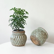 마이플랜트 [마이플랜트]도자기화분 허니팟 세라믹 빈티지 인테리어 항아리 옹기 단지 화분, 선택완료