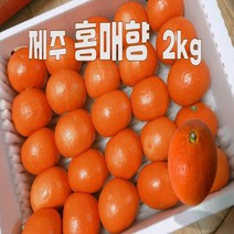 제주감귤 빨간귤 귤한박스 홍매향 2kg