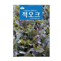 청농 적오크 상추씨앗 3000립, 1개