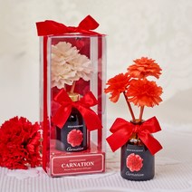 카네이션 디퓨저 어린이집 스승의날 선물 세트, 레드 카네이션 50ml