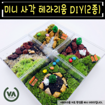 [비바소녀] 초보자도 쉽게 제작가능한 입문용 미니사각 테라리움 DIY(2종) 피규어4종+제작도구3종 포함 / 반려식물 이끼 선물 미니정원, 미니 사각 B Type(목문석 구성)