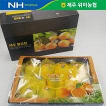 [더자연] 제주 위미농협 황금향 3kg(10-15과), 1개