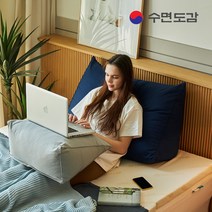 수면도감 등쿠션 삼각 등받이쿠션 침대쿠션 대형등쿠션 등베개 삼각쿠션, 네이비
