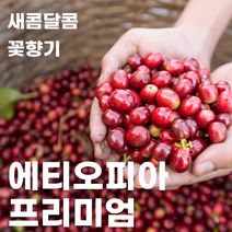 스페셜티 에티오피아 프리미엄 블랜드 (원두 커피 200g 500g) 코케허니 아바야게이샤 G1, 핸드드립/커피메이커 분쇄