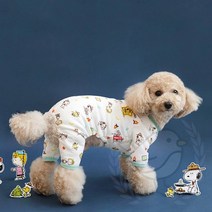 새임 스카우트 2XL 3XL 개옷 강아지옷 대형견겨울옷