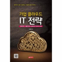 IT 전략 기업 클라우드, 상품명