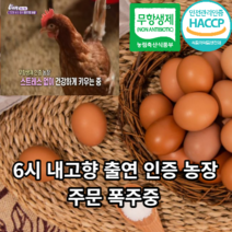 명품훈제달걀60구 상품 검색결과