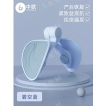 힙쓰러스트 힙어브덕션 힙어브덕션무게 로잉머신 플랫벤치 에어텐트 헬스머신 레그익스텐션, H