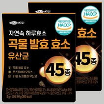 곡물 발효 효소 유산균 웰핏 45종 자연속 하루 효소 분말 프로바이오틱스, 90g, 2개