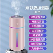 차량용공기청정기 공청정기 헤파필터 살균 시거잭 정화 기, 핑크 충전/플러그인 겸용