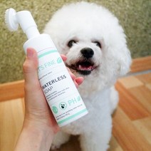 펫츠파인 마일드 강아지 고양이 워터리스 저자극 드라이샴푸