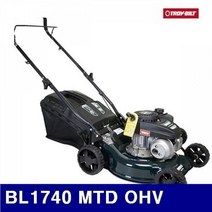 트로이빌트 5263491 엔진잔디깎기 BL1740 MTD OHV 17 (1EA)