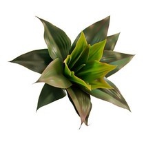 다육이화분 2 개몫 큰 인공 식물 플라스틱 알로에 Agave 나무 터치 리프 공기 홈 데스크 벽 정원 장식, [01] A