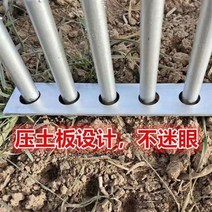 모종 콩 심는 기계 양파 인공물 심기 묘목 파종기 양파 포크 자동 펀칭 도구 양파 심기, 12홀 21식물 1m