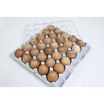 30구계란판 뚜껑 왕란용 100장 포장 난좌, 투명(100장)