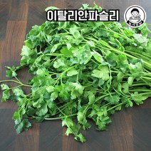[농사임당] 이탈리안파슬리 향나물 이태리파슬리 50g/100g, 50g