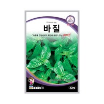 모칸도 세계 허브씨앗 바질 300립, 1개