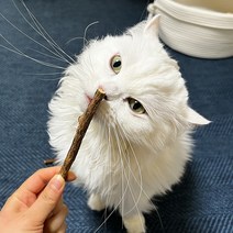 [10개/30개] 대용량 고양이가 완전 좋아하는 냄새 개다래나무 스틱형 마따따비 막대, 2. 30개입